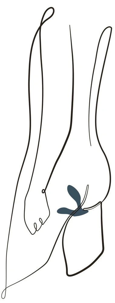 We-Vibe Vector Bluetooth Prostaat Stimulator Met De We-Connect-app Voor IOS En Android - Afbeelding 3